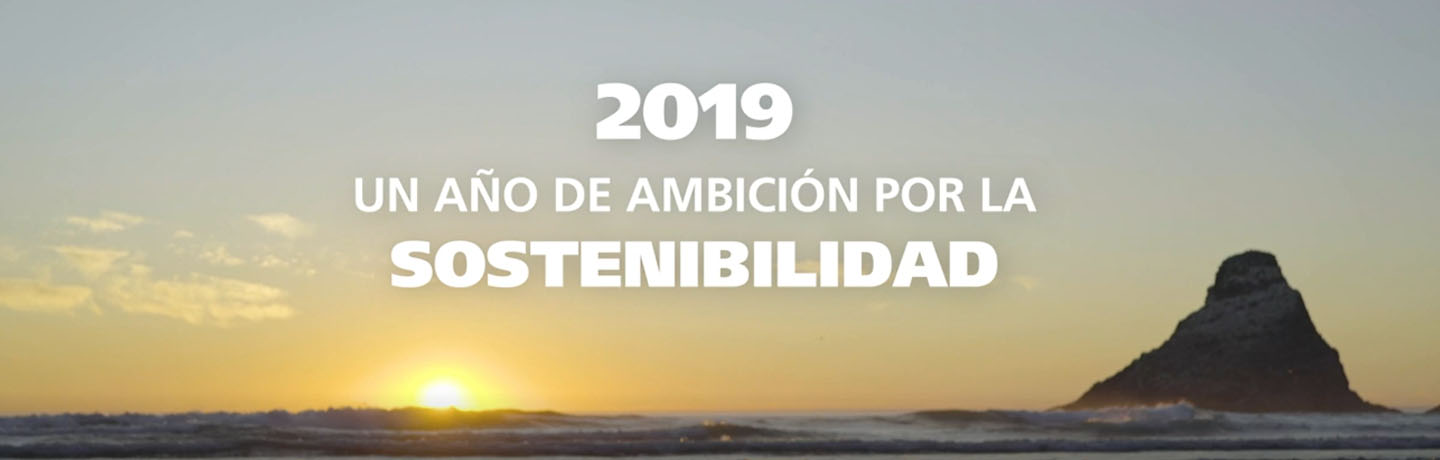 Memoria sostenibilidad 2019
