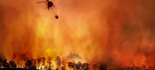 Protocolo de emergencia ante la ola de incendios