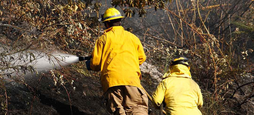Protocolo de emergencia ante el incendio de Tenerife