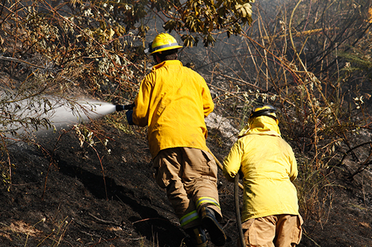 Protocolo de emergencia ante el incendio de Tenerife