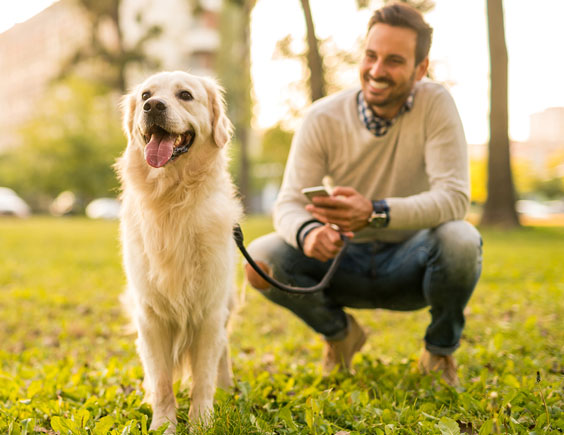 seguros de hogar mascota