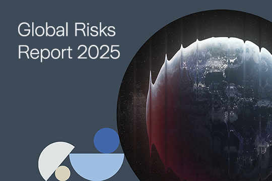 Informe de Riesgos Globales 2025