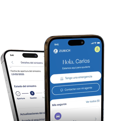 pantallazo del área de cliente en un móvil