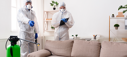 mariano zurich seguros